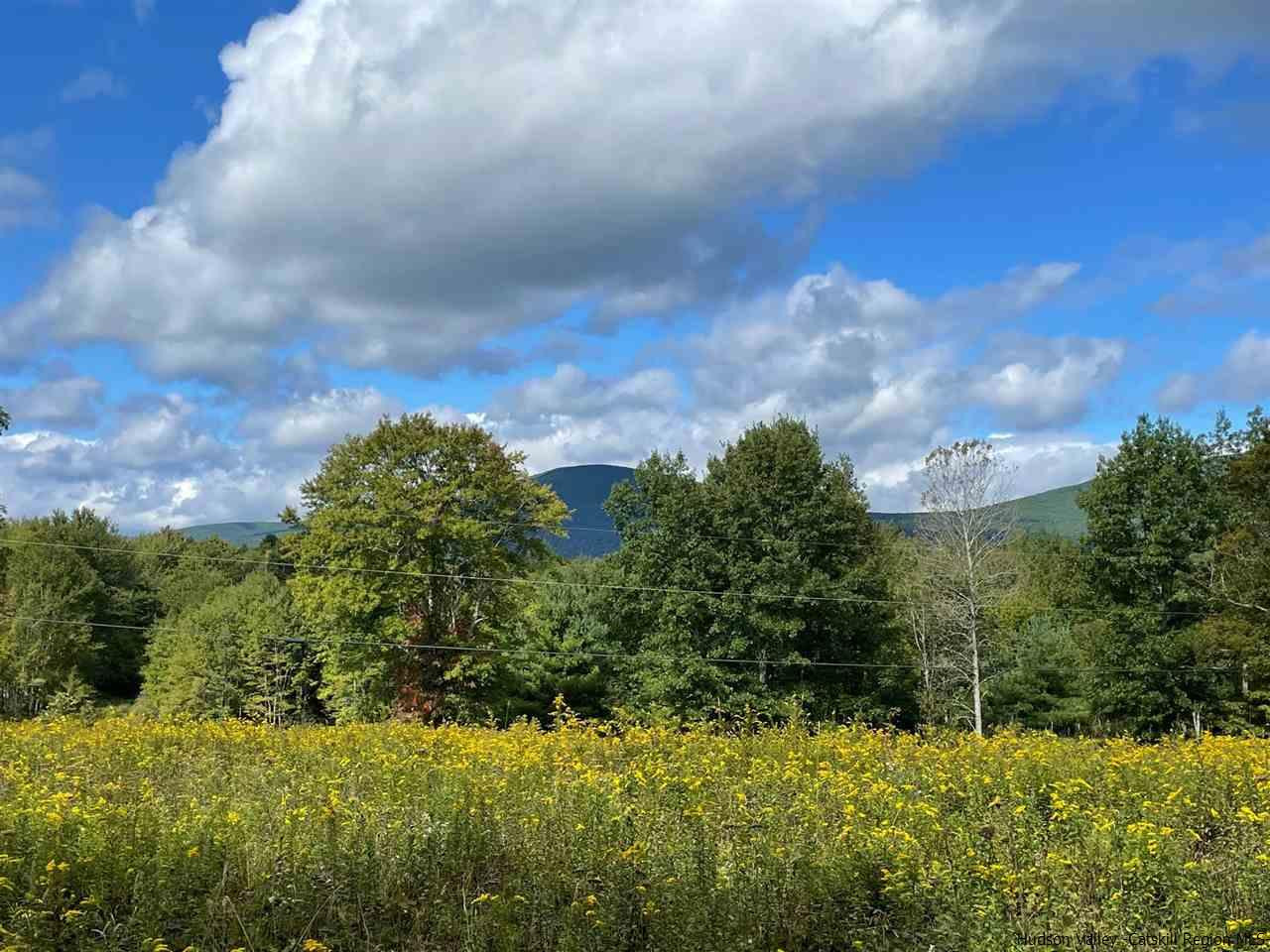 Tbd Upper Sahler Mill Road Olivebridge, NY 12461 - Photo 8 of 10 Photo 8