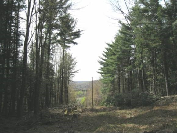 108 Poker Hill Road Underhill, VT 05489 - Photo 1 of 1 Gallery Image 1
