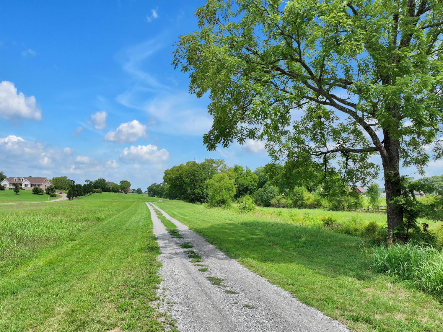 197 B Bugg Hollow Road Cottontown, TN 37048 - Photo 12 of 26 Gallery Image 12