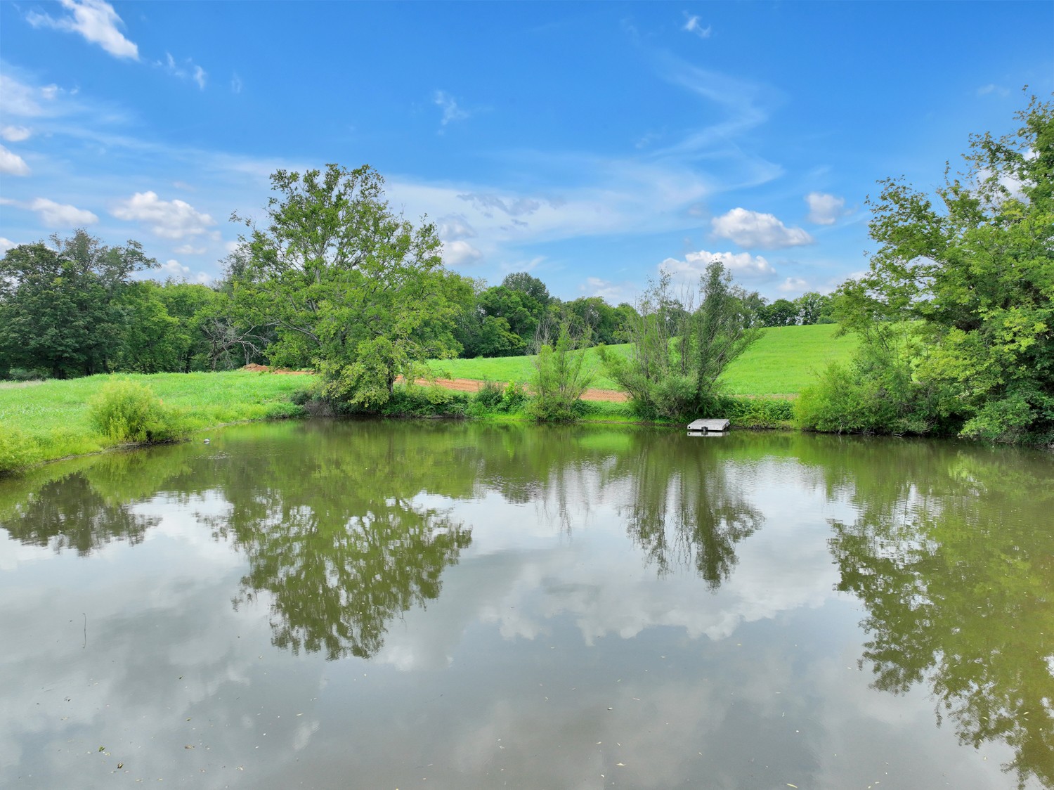 197 B Bugg Hollow Road Cottontown, TN 37048 - Photo 9 of 26 Gallery Image 9