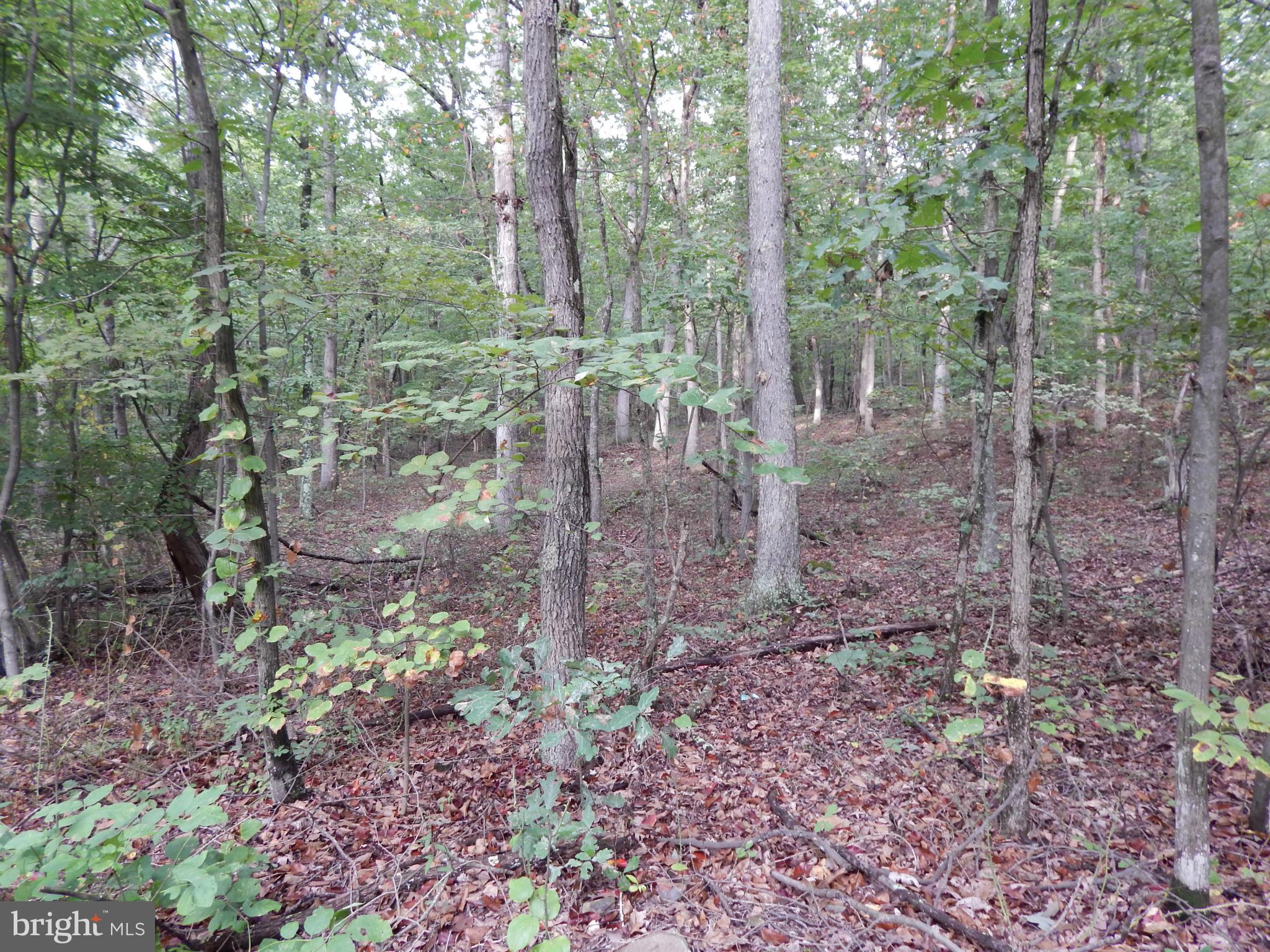 Whites Gap Road Berkeley Springs, WV 25411 - Photo 1 of 6 View