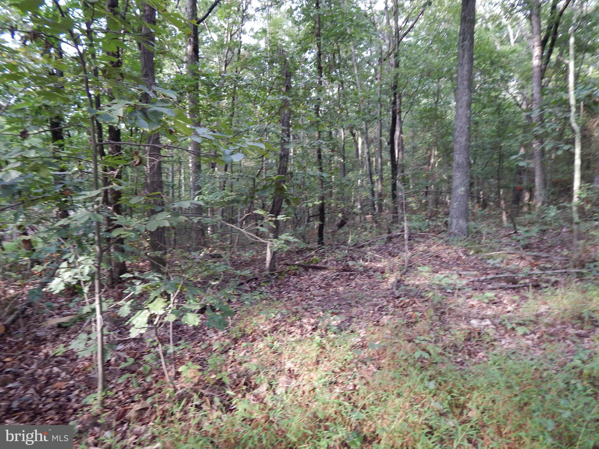 Whites Gap Road Berkeley Springs, WV 25411 - Photo 2 of 6 View