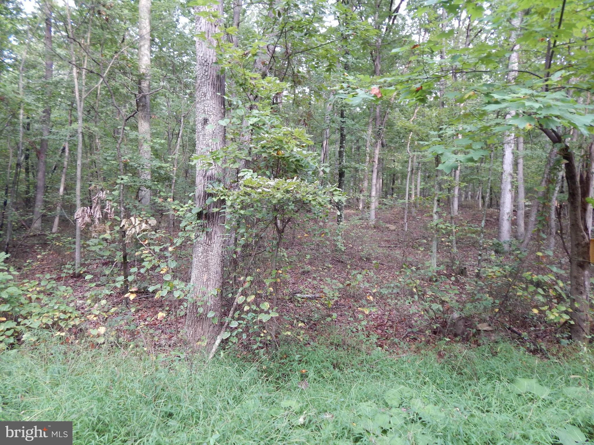 Whites Gap Road Berkeley Springs, WV 25411 - Photo 3 of 6 View