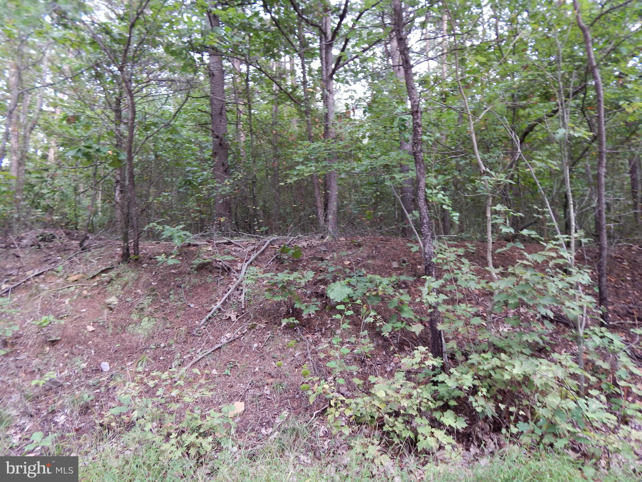 Whites Gap Road Berkeley Springs, WV 25411 - Photo 4 of 6 View