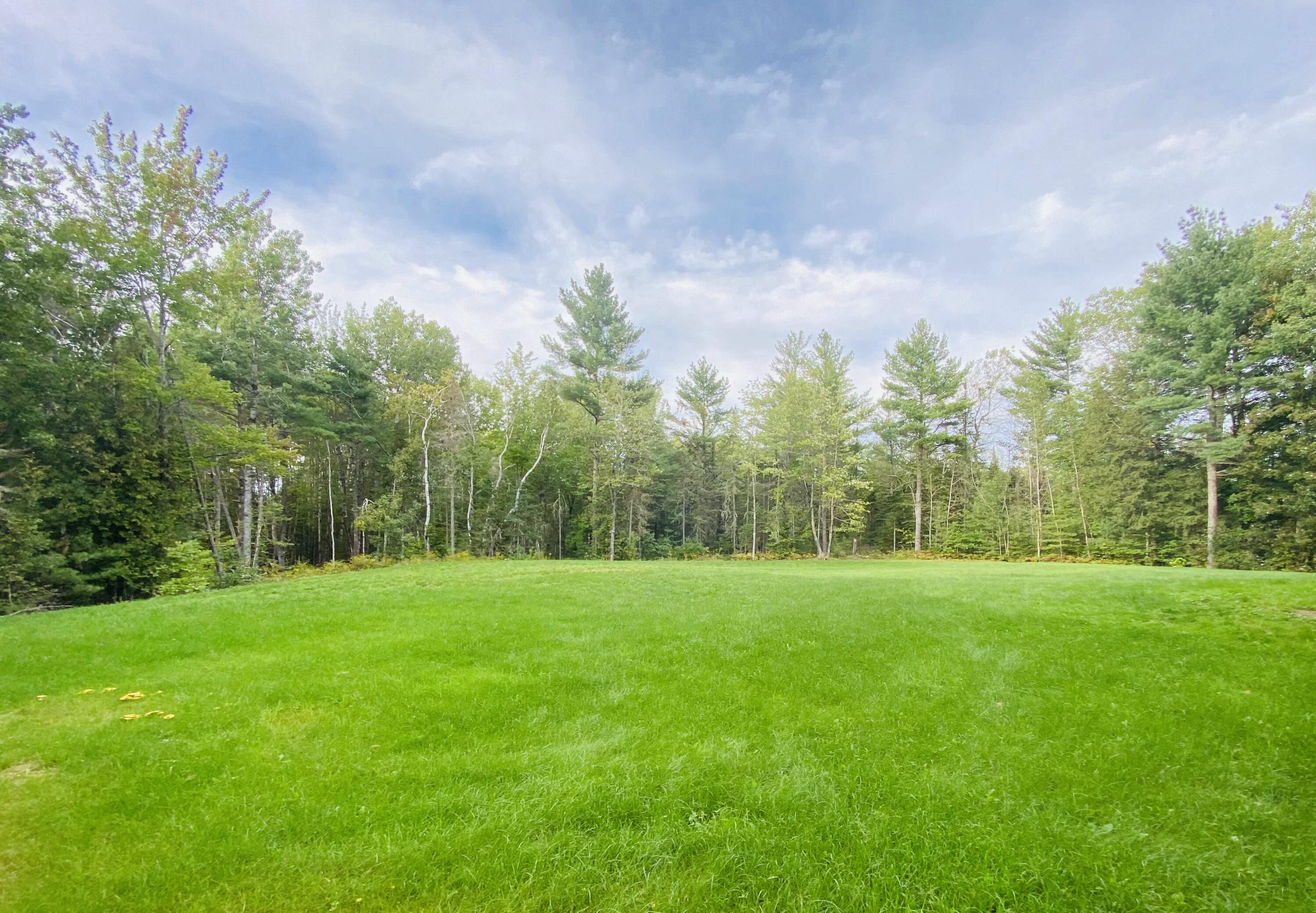 773 Lower Detroit Road Plymouth, ME 04969 - Photo 7 of 33 Left-side of Backyard
