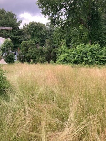109 Dunstable Road Chelmsford, MA 01863 - Photo 2 of 8 Gallery Image 2