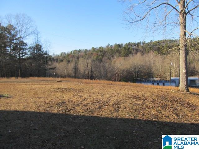3371 Vaughn Road Altoona, AL 35952 - Photo 31 of 33