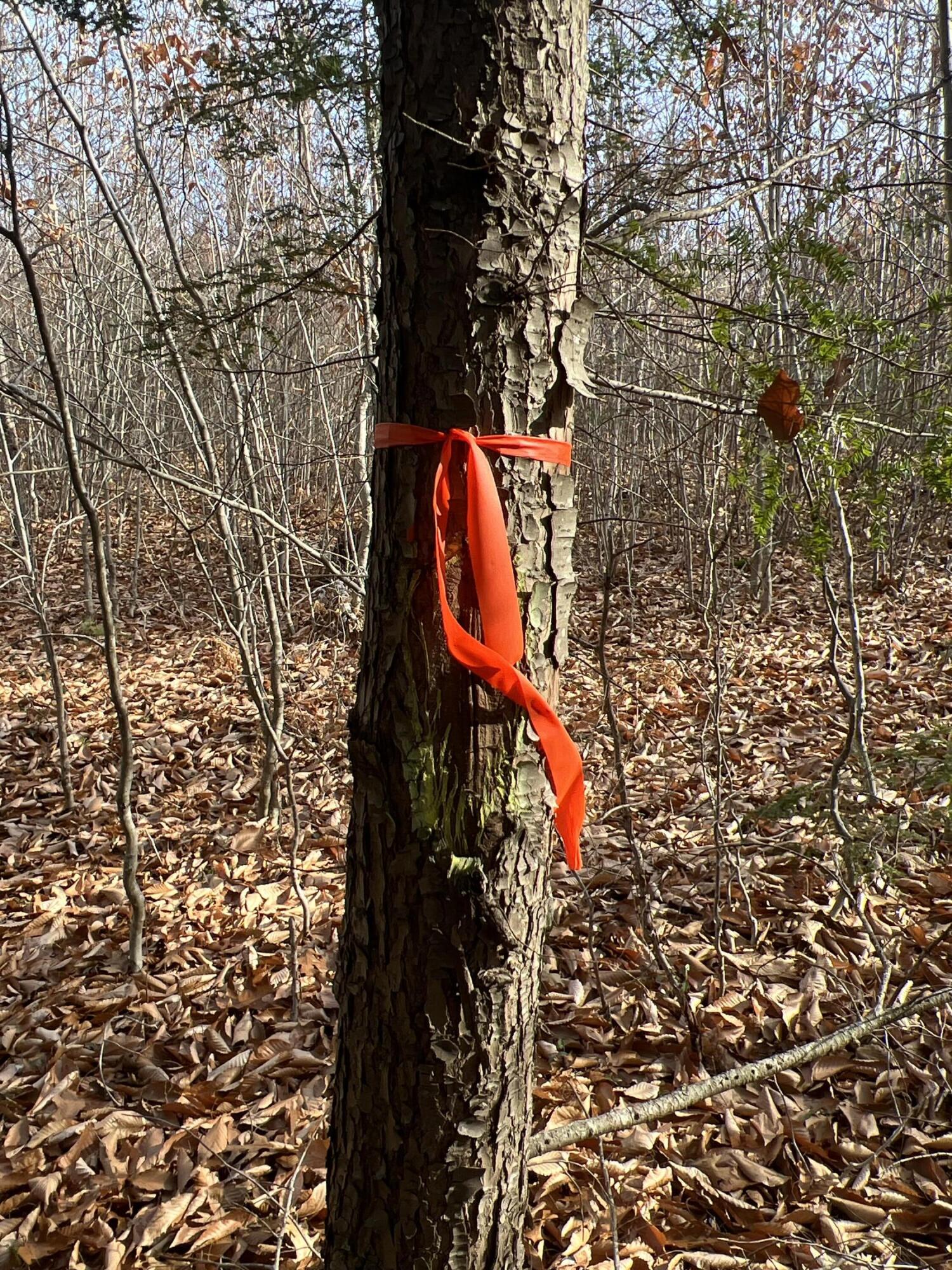 1 Flat Ground Road Acton, ME 04001 - Photo 33 of 34 IMG_7070