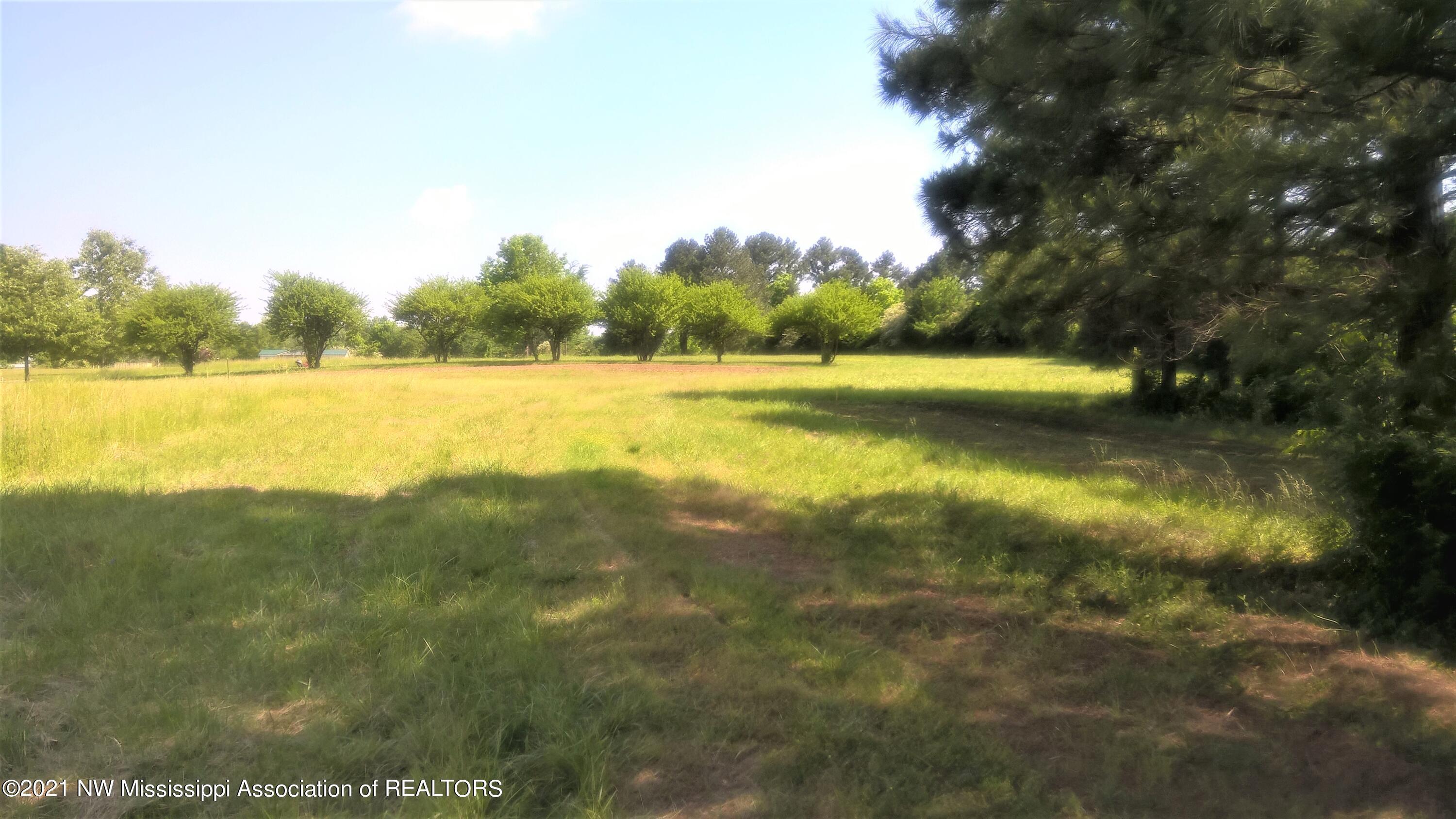 2167 Lyles Road Senatobia, MS 38668 - Photo 2 of 4 Lot IMG 1- 2167 Lyles Road Senatobia Sid