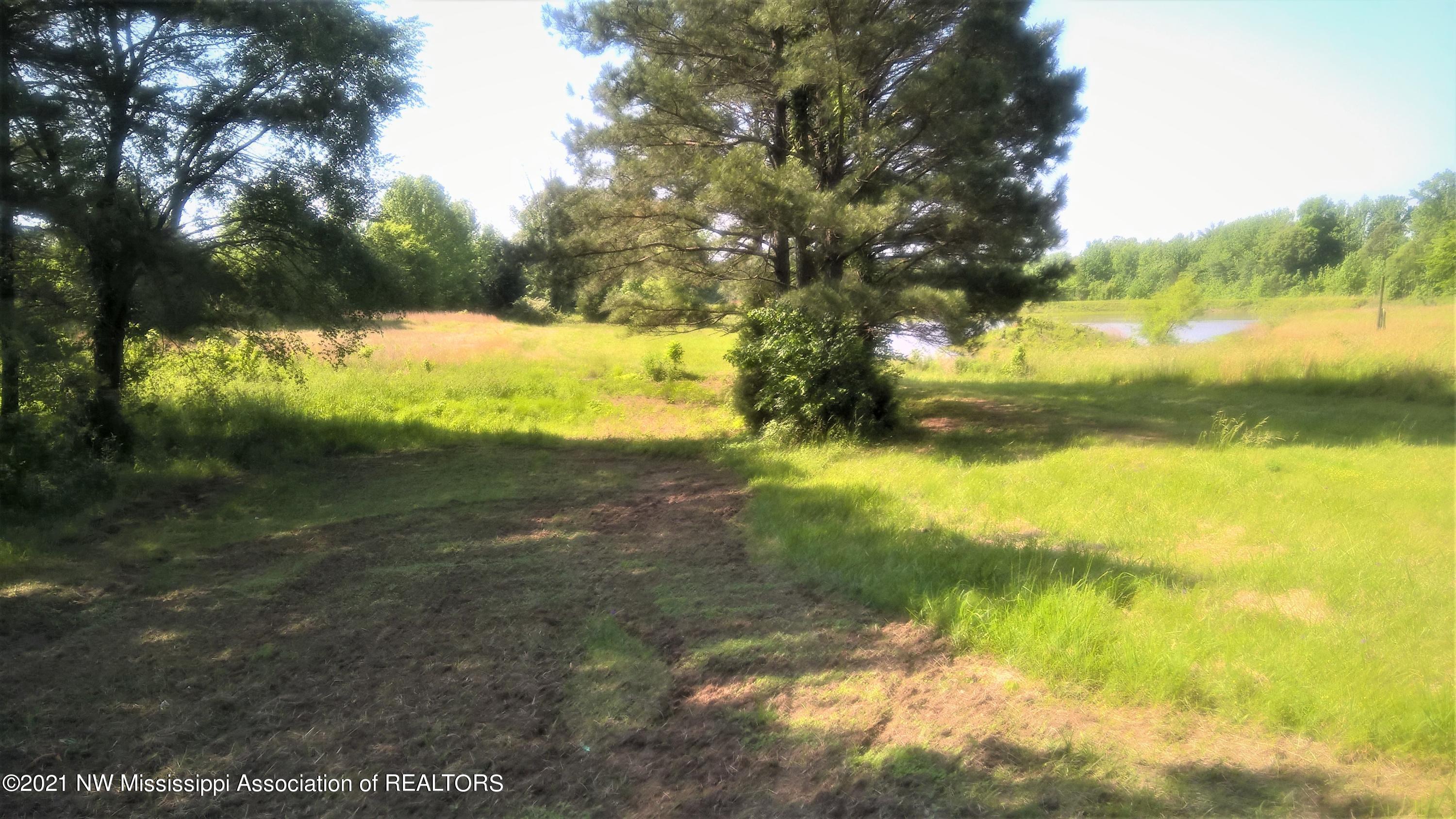 2167 Lyles Road Senatobia, MS 38668 - Photo 3 of 4 Lot IMG 2 - 2167 Lyles Road Senatobia Si