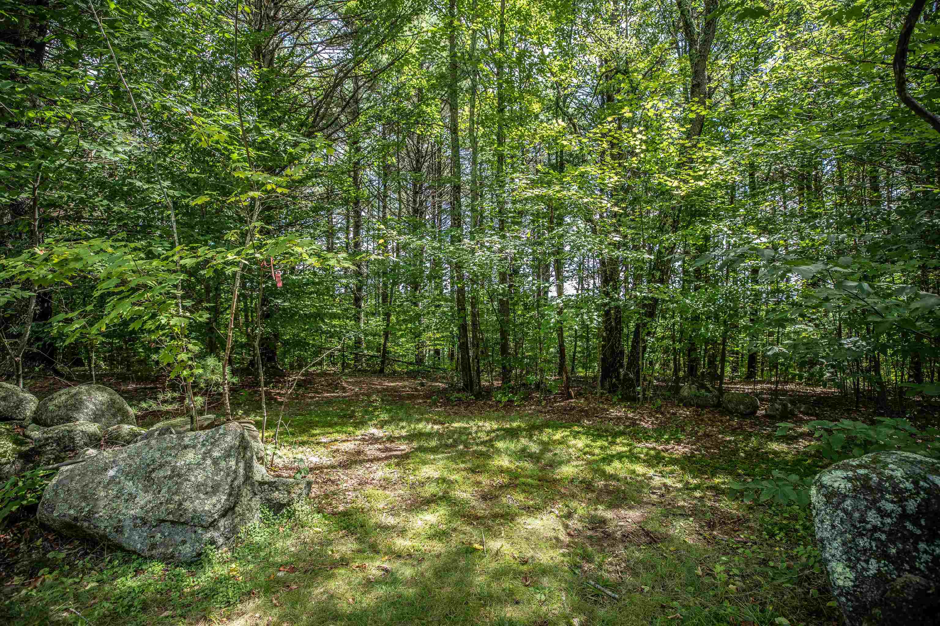 0 Windy Row Peterborough, NH 03458 - Photo 4 of 15