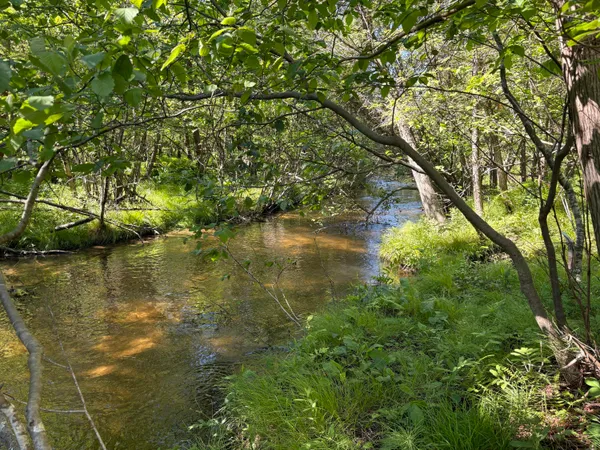 $70,000 | 2.27-acres West Shelby Road, Shelby, MI 49455