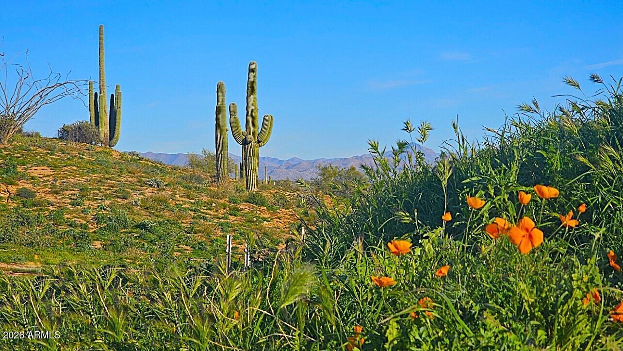 142-x4 East Montello Road Scottsdale, AZ 85262 - Photo 9 of 50