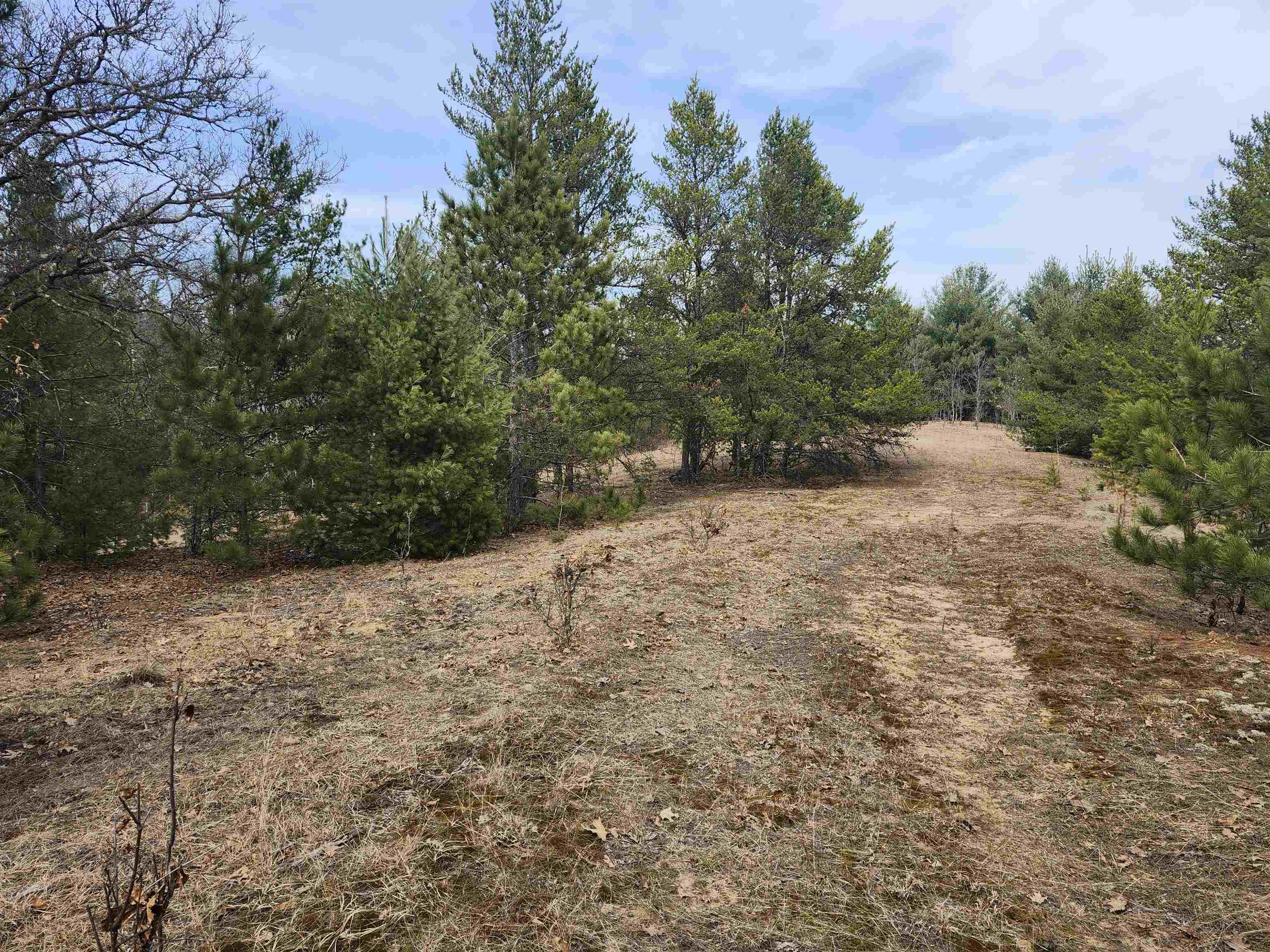 0 Czech Avenue Coloma, WI 54930 - Photo 12 of 27