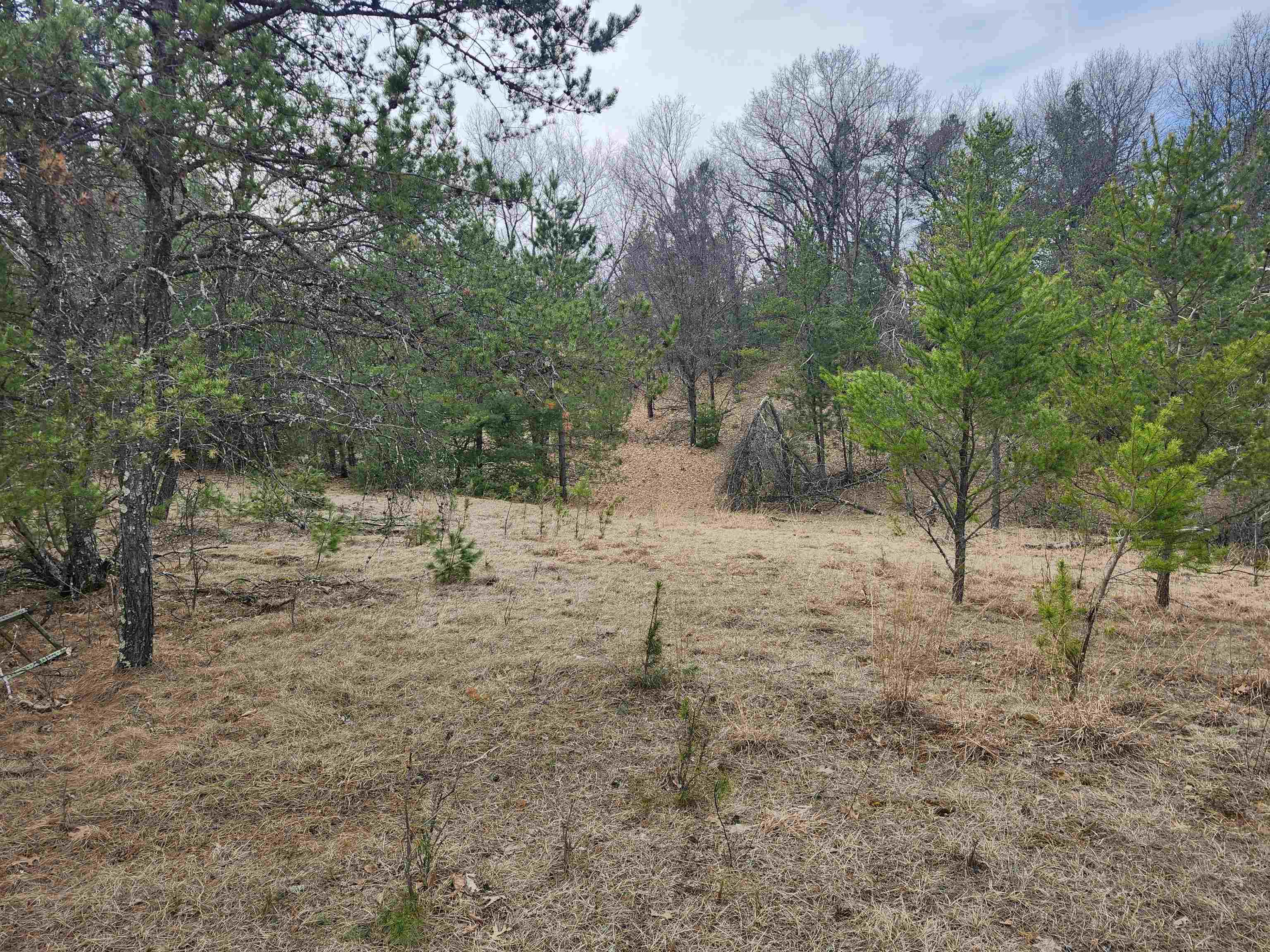 0 Czech Avenue Coloma, WI 54930 - Photo 13 of 27