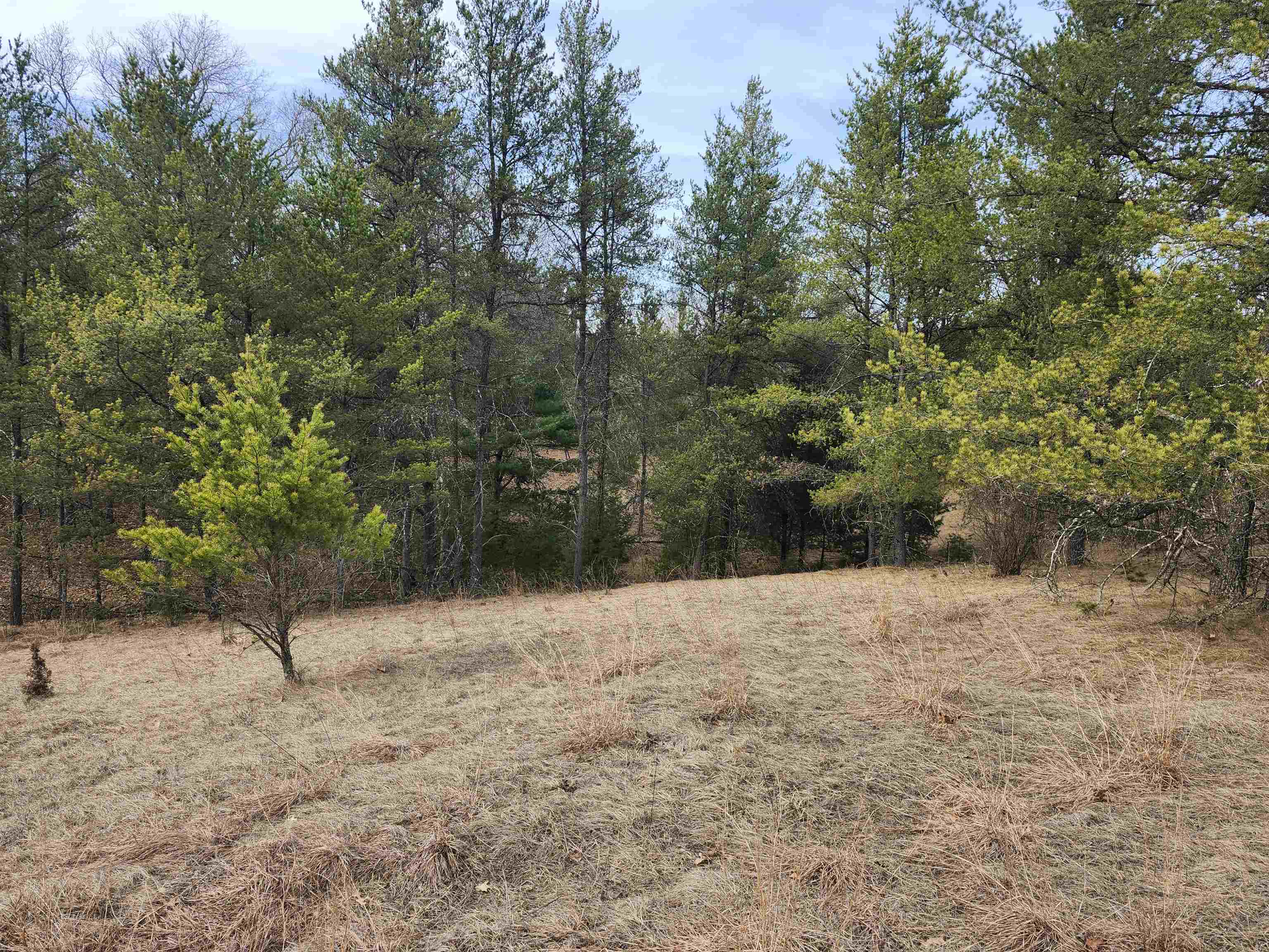 0 Czech Avenue Coloma, WI 54930 - Photo 14 of 27