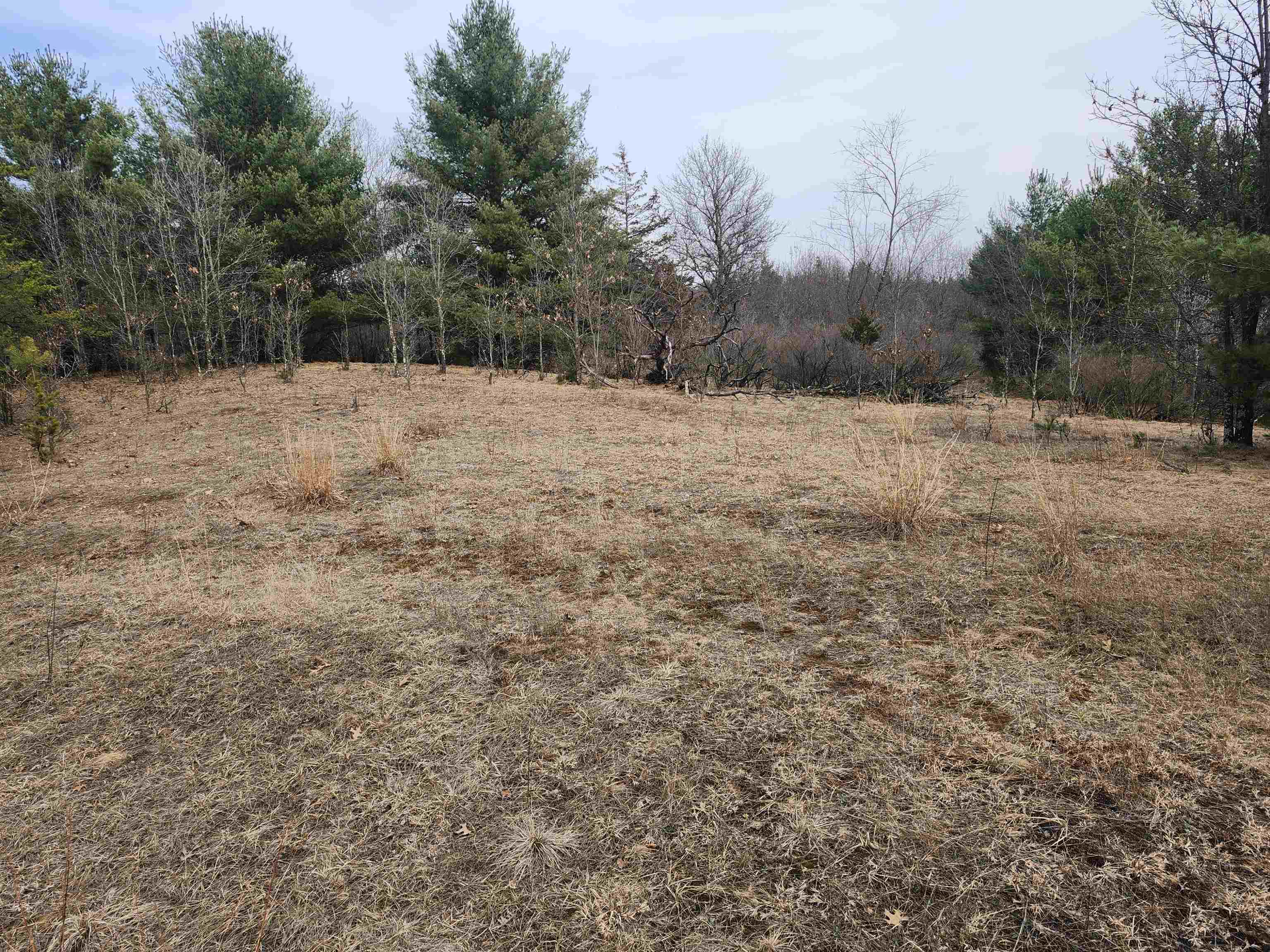 0 Czech Avenue Coloma, WI 54930 - Photo 15 of 27