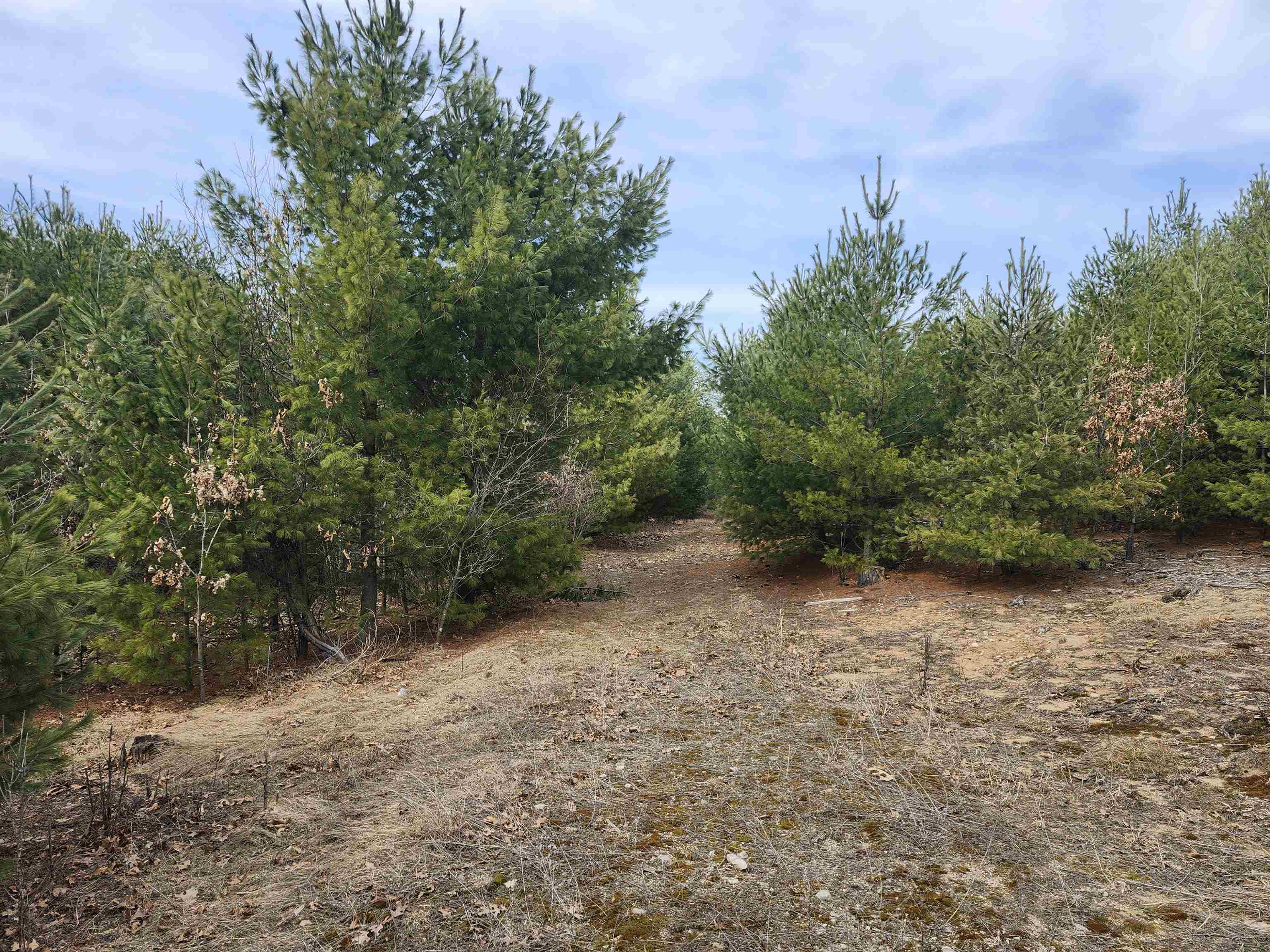 0 Czech Avenue Coloma, WI 54930 - Photo 7 of 27