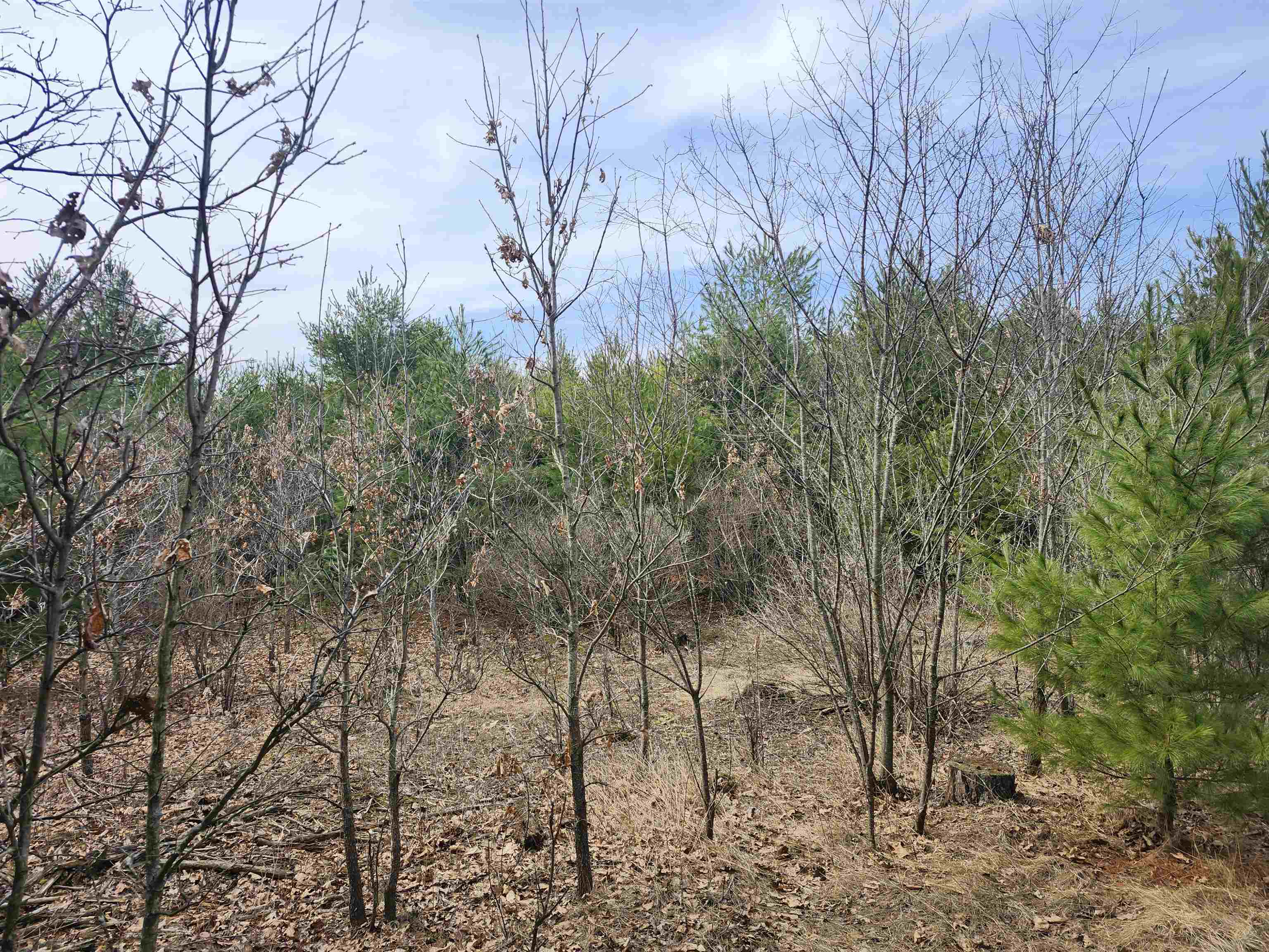 0 Czech Avenue Coloma, WI 54930 - Photo 9 of 27