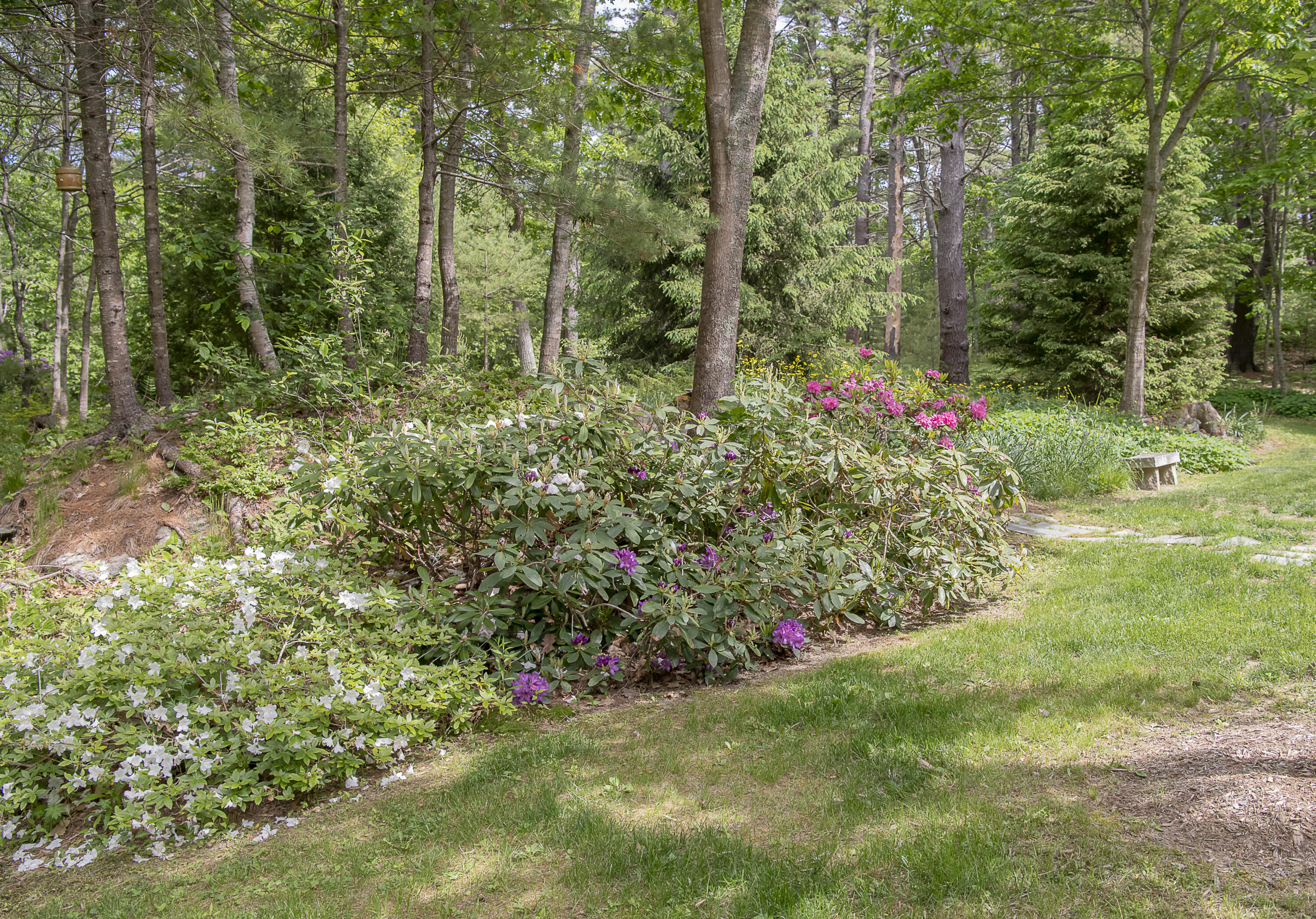 41 Field Road Arrowsic, ME 04530 - Photo 28 of 38 GLM_7186