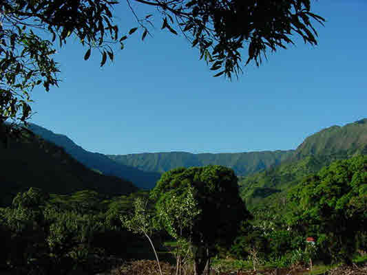 237 Wainiha Powerhouse Road Hanalei, HI 96714 - Photo 1 of 2 Gallery Image 1