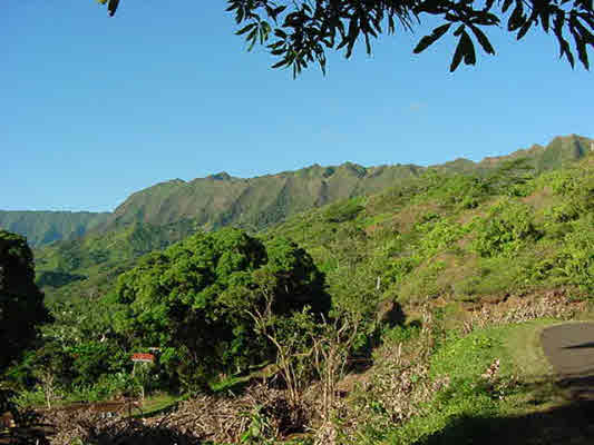 237 Wainiha Powerhouse Road Hanalei, HI 96714 - Photo 2 of 2 Gallery Image 2