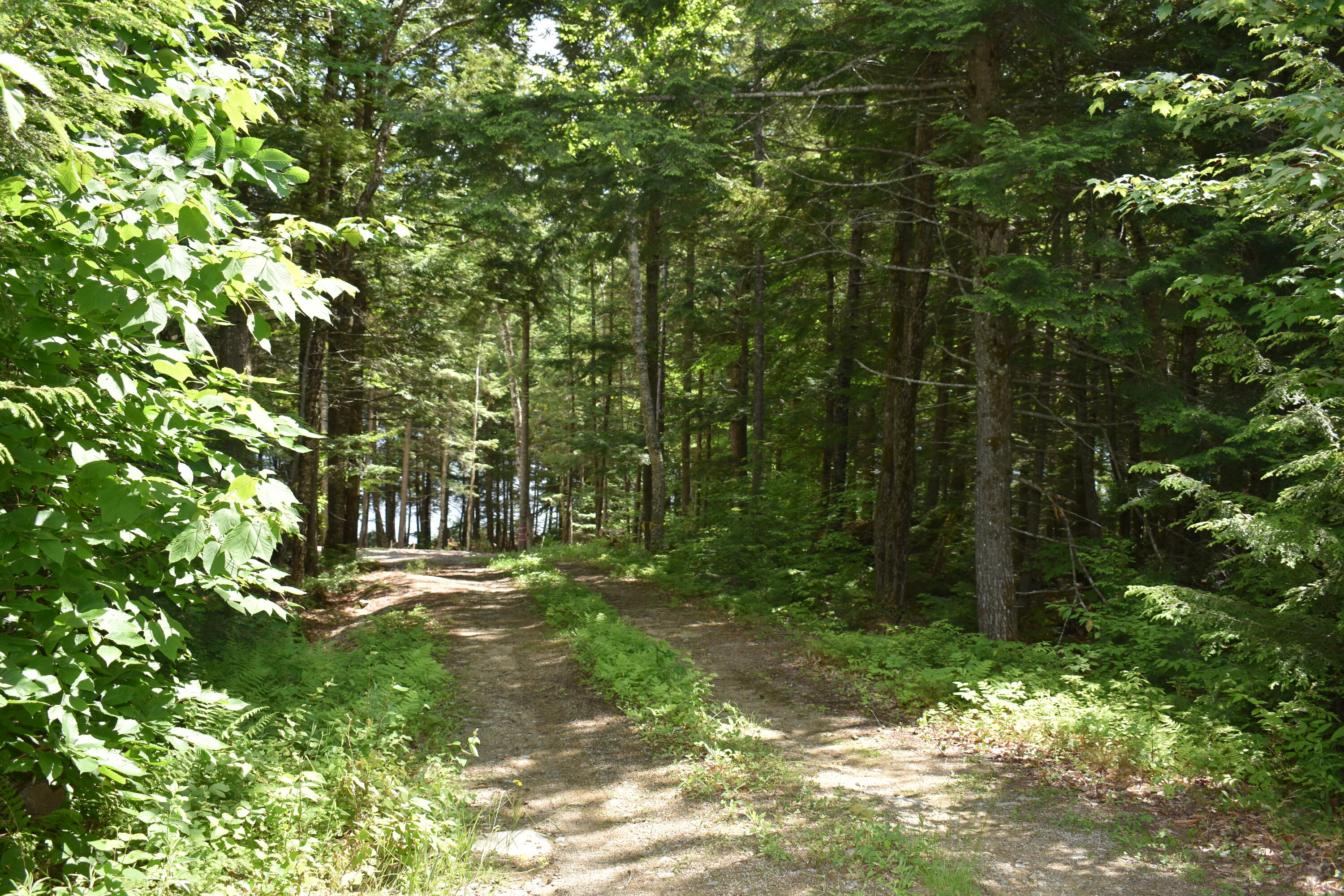1800 Houston Road Lincoln, ME 04457 - Photo 20 of 26 DSC_0273