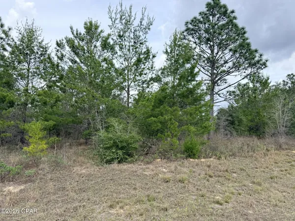 $11,500 | Xxx Noah Court, Chipley, FL 32428