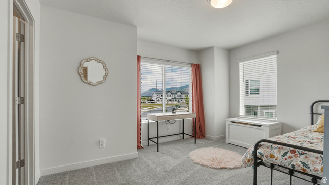 1418 Castillo Road Spanish Fork, UT 84660 - Photo 17 of 40