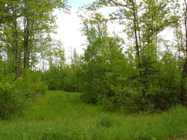 40-acres Hager City Road Merrill, WI 54452 - Photo 1 of 1