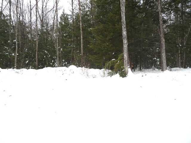 149 Colonial Circle Harrison, ME 04040 - Photo 8 of 35 Yard/Garden. Back Yard