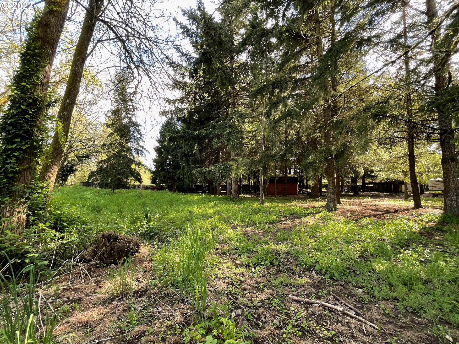 4800 River Road Junction City, OR 97448 - Photo 2 of 4 Gallery Image 2