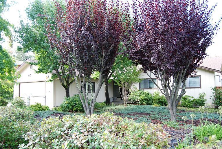 171 Middle Rincon Road Santa Rosa, CA 95409 - Photo 1 of 1 front view of a house with a tree