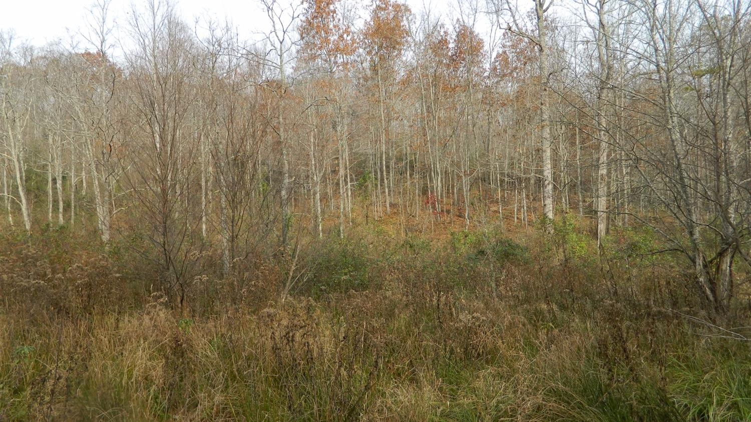589 Judd Road Booneville, KY 41314 - Photo 21 of 67 Photo 21