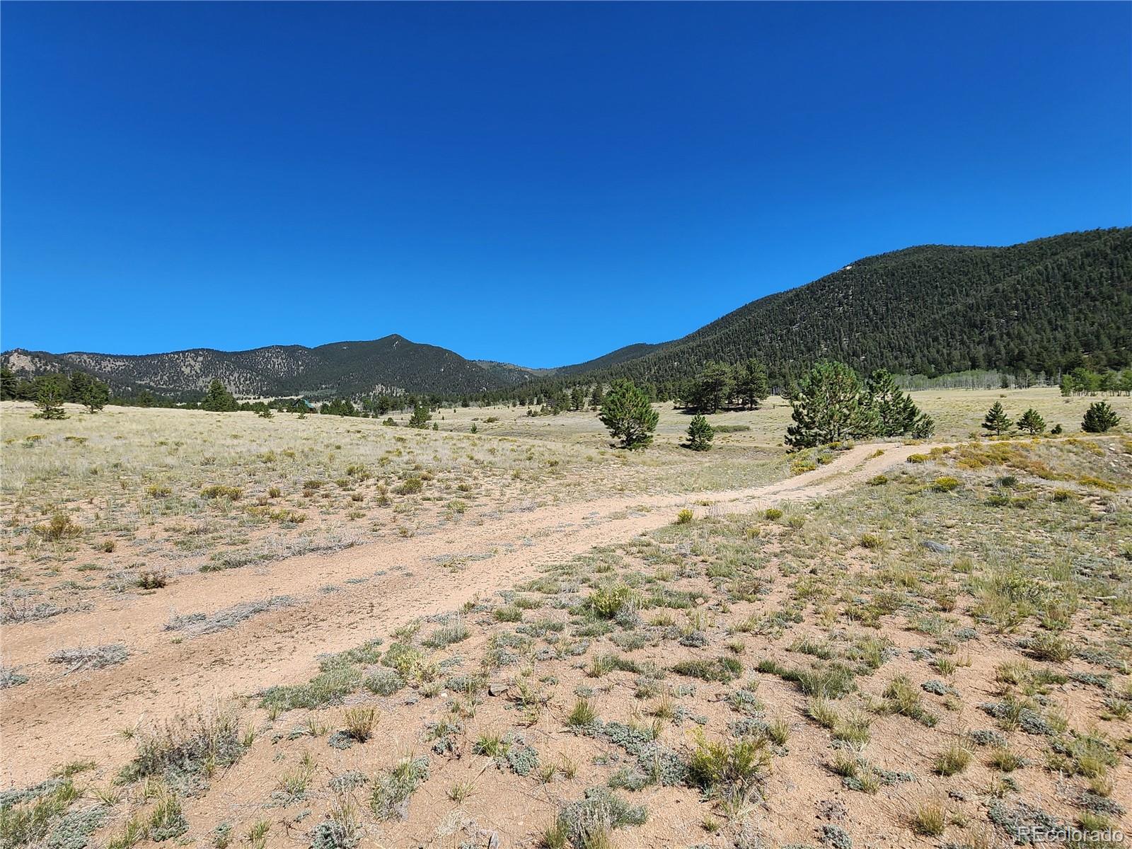 2585 Garfield Road Lake George, CO 80827 - Photo 4 of 18