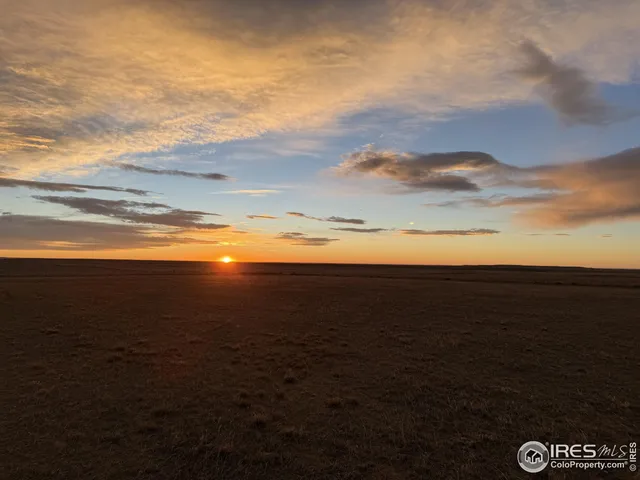 a view of a lake from a yard