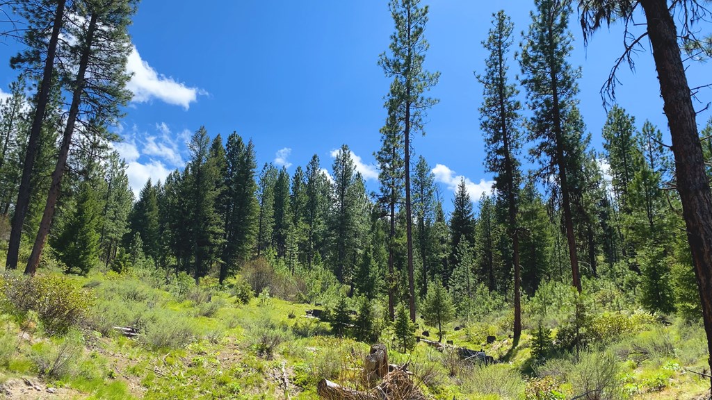 1 Harris Creek Road Idaho City, ID 83631 - Photo 14 of 32