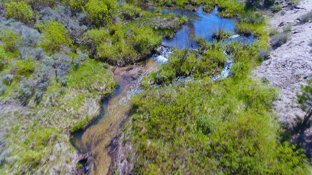 1 Harris Creek Road Idaho City, ID 83631 - Photo 17 of 32