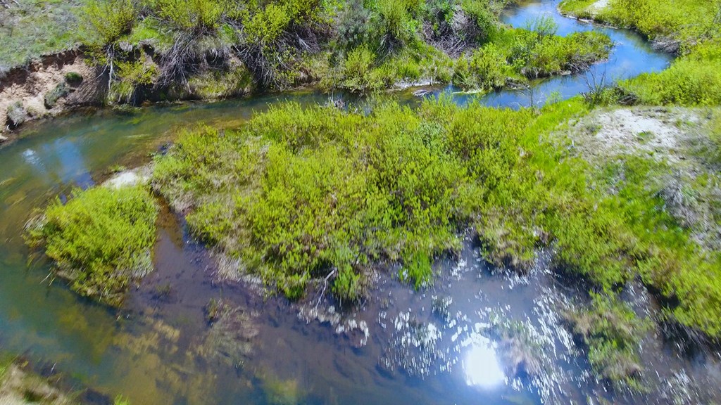 1 Harris Creek Road Idaho City, ID 83631 - Photo 18 of 32