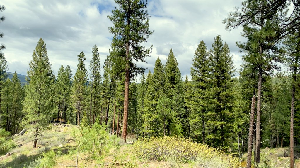1 Harris Creek Road Idaho City, ID 83631 - Photo 2 of 32
