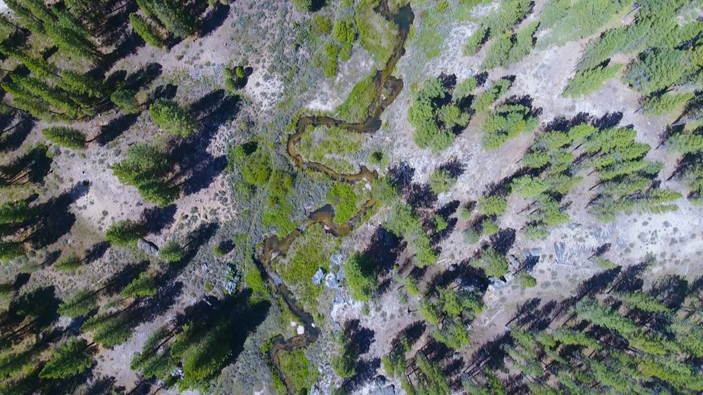 1 Harris Creek Road Idaho City, ID 83631 - Photo 21 of 32