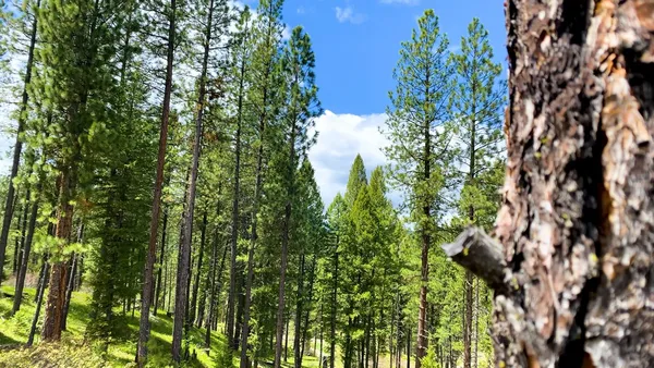 $4,980,000 | 1 Harris Creek Road, Idaho City, ID 83631