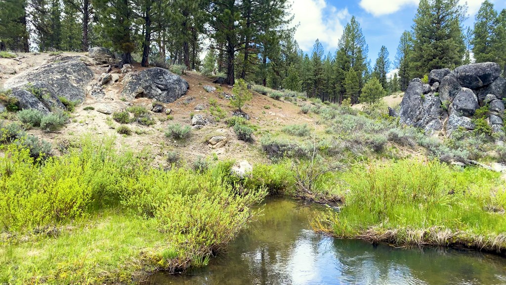 1 Harris Creek Road Idaho City, ID 83631 - Photo 23 of 32