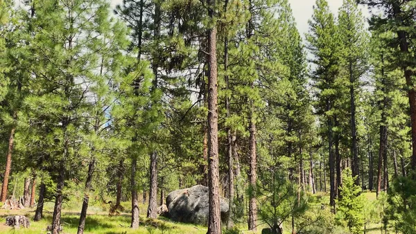 $4,980,000 | 1 Harris Creek Road, Idaho City, ID 83631