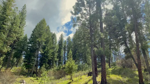 $4,980,000 | 1 Harris Creek Road, Idaho City, ID 83631