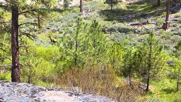 $4,980,000 | 1 Harris Creek Road, Idaho City, ID 83631