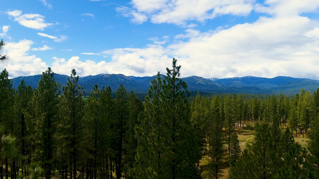 1 Harris Creek Road Idaho City, ID 83631 - Photo 5 of 32