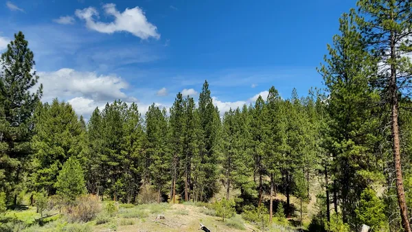 $4,980,000 | 1 Harris Creek Road, Idaho City, ID 83631