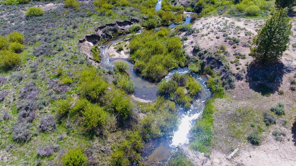 1 Harris Creek Road Idaho City, ID 83631 - Photo 10 of 32