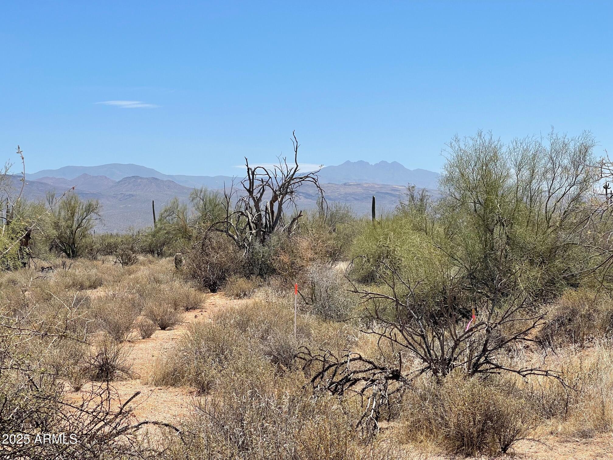 16800 North 168th Street Rio Verde, AZ 85263 - Photo 5 of 7 a view of a mountain